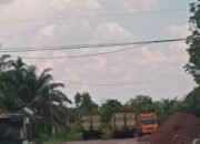 Diduga Gudang Cangkang Ilegal di Sebangar, Truk Hilir Mudik—Aparat Jangan Sekadar Jadi Penonton