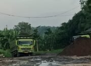 Diduga Gudang Cangkang  Ambarita Bebas Beroperasi di Bathin Solapan, Warga Soroti Dugaan Pembiaran Aparat dan Pemerintah