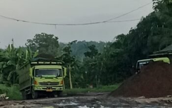Diduga Gudang Cangkang  Ambarita Bebas Beroperasi di Bathin Solapan, Warga Soroti Dugaan Pembiaran Aparat dan Pemerintah