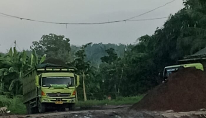 Diduga Gudang Cangkang  Ambarita Bebas Beroperasi di Bathin Solapan, Warga Soroti Dugaan Pembiaran Aparat dan Pemerintah