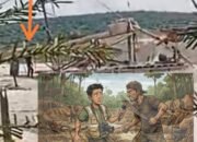 Diancam Kampak Saat Liputan PETI Kuansing, Tim Media Desak Kapolres Tangkap Pelaku!