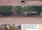 Bungkam Seribu Bahasa, Kadis DPMPTSP Bengkalis Diduga Bentengi Aktivitas Gudang CPO Ilegal Bathin Solapan