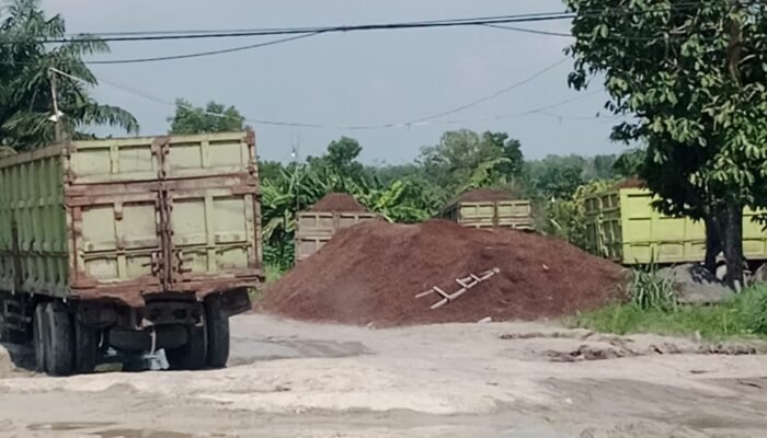 Aktivitas Gudang Cangkang dan CPO Ambarita Melenggang Bebas, DPMPTSP Bengkalis Mandul, Bupati dan DPRD Tutup Mata?