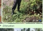 DiDuga Mafia Tanah Sangat Meresahkan Keluarga Pak Ibrahim Ketua Y LBH Amir Hamzah Siap Membuat Laporan Ke Polres kota Dumai