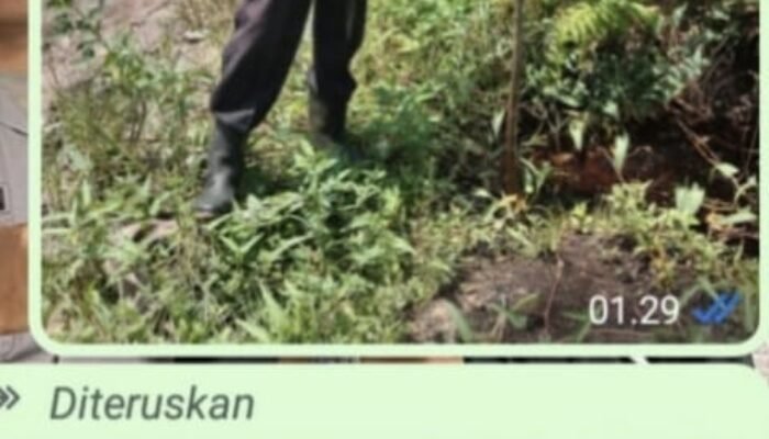 DiDuga Mafia Tanah Sangat Meresahkan Keluarga Pak Ibrahim Ketua Y LBH Amir Hamzah Siap Membuat Laporan Ke Polres kota Dumai