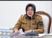 Siak Nihil Titik Api, Bupati Afni Perintahkan Satgas Karhutla Siaga 24 Jam