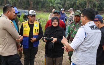 Karhutla 40 Hektare di Dayun Padam, Bupati Siak Tegaskan Tak Ada Lagi Firespot